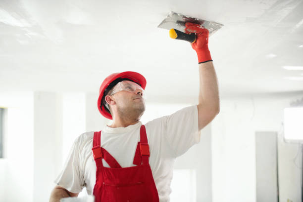 Professional Painting & Drywall Services in Fritch, TX